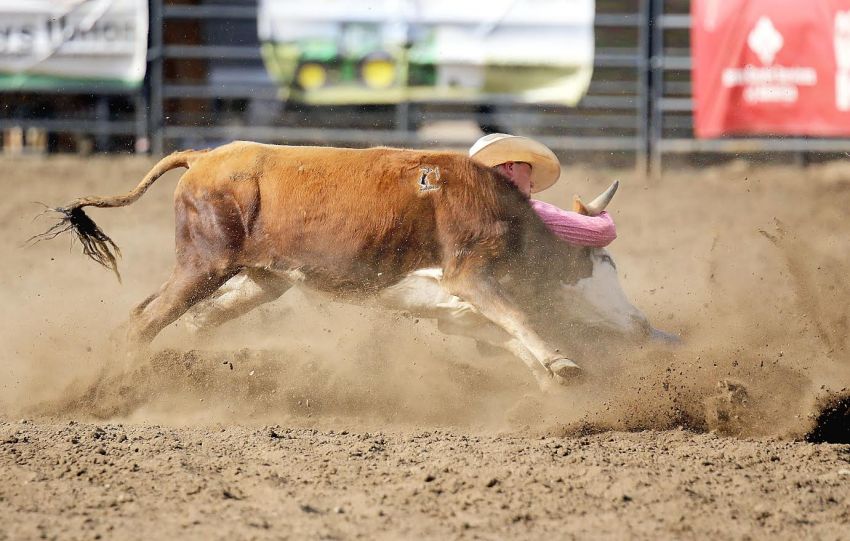 Cowboy to the core, Long Valleyâ€™s Denton Good headed back to National High School Finals Rodeo