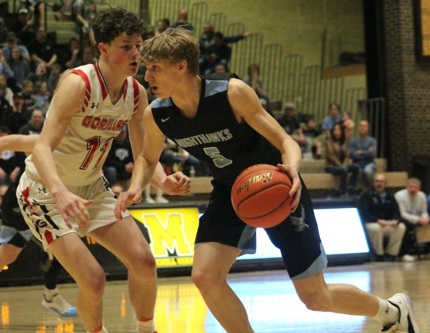 Tripp-Delmont/Armour, Wagner boys lead all-Little Missouri Valley Conference selections 