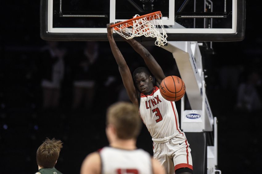 Class AA Boys Basketball Roundup - Brandon Valleyâ€™s balance lifts Lynx into semifinals
