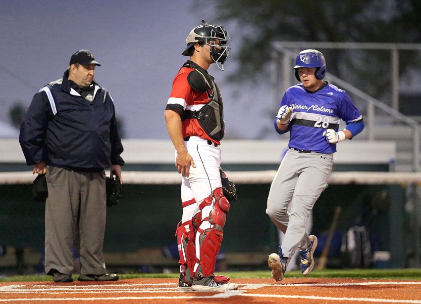 Winner-Colome Pheasants, Renner Monarchs top amateur baseball poll