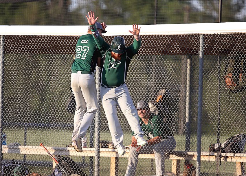 June 16 Amateur Baseball Roundup - Colomeâ€™s Joey Cole strikes out 12 batters in Pony Hills League victory 