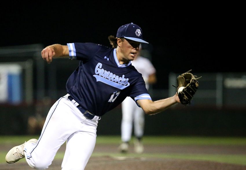 Hartford/Humboldt Gamecocks snap losing skid to Dell Rapids Mudcats, advance to Class B semifinals 