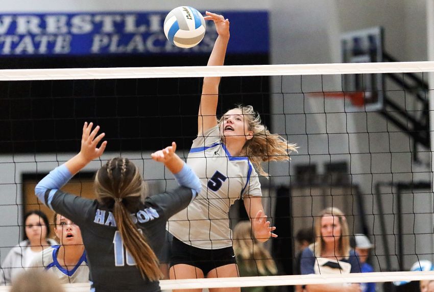 SESD volleyball preview: Loaded field gathers to gain seed points