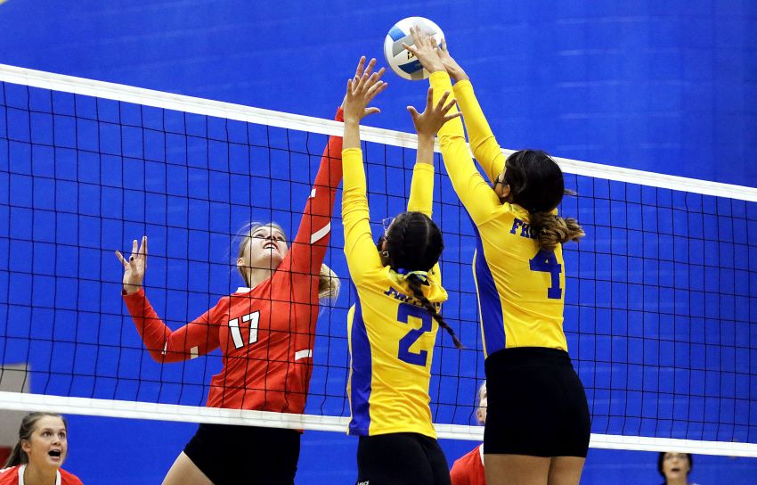 High school volleyball roundup -- Gregory tops Todd County in three-set match