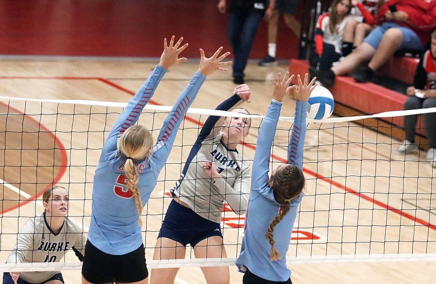Burkeâ€™s Kailee Frank powering Cougars during special volleyball season 