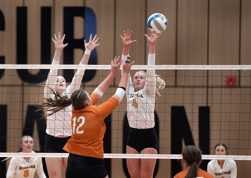 Colman-Eganâ€™s Brynlee Landis named Dakota Valley Conference MVP 