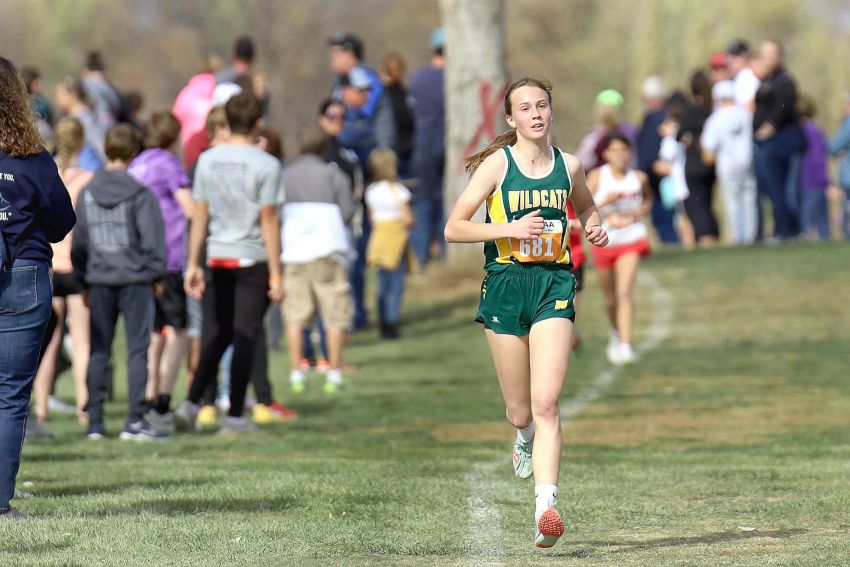Northwesternâ€™s Ella Boekelheide doubles up as multi-sport standout for Wildcats