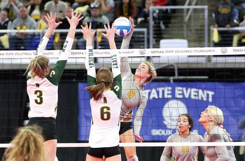 Six Warbirds selected to all-281 Conference volleyball team 