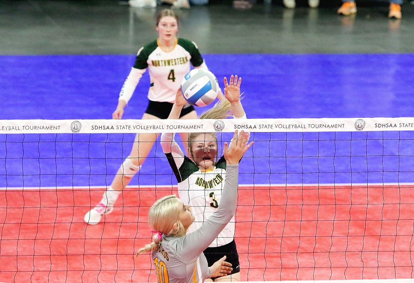 Northwestern, Warner pace Lake Region Conference volleyball selections 