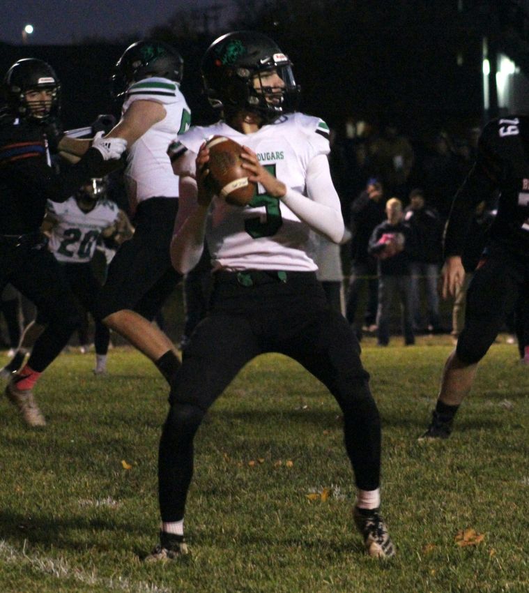 Fighting Cougars edge Blackhawks in Class 11B playoff opener