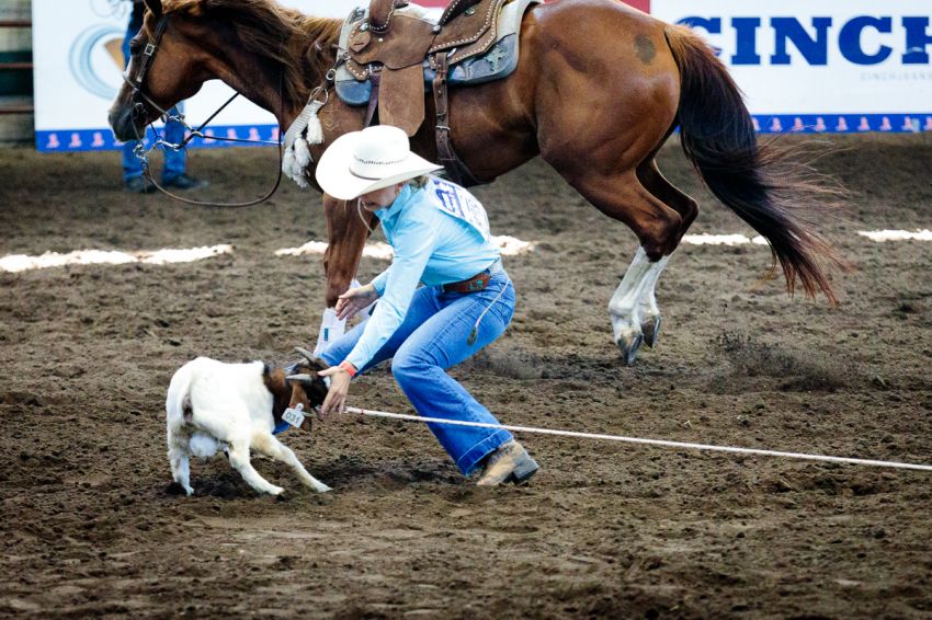 Alpenaâ€™s Londyn Mikkelson moves to second place at NJHFR in the All-Around Rookie Cowgirl standings with strong goat tying run